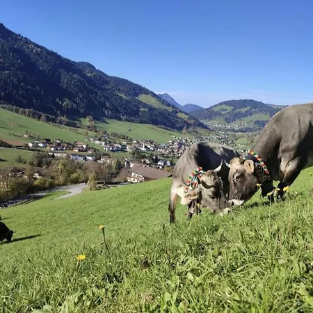 Holiday home Berghof Niederau