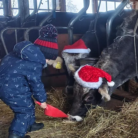 Διαμέρισμα Zaustoi *