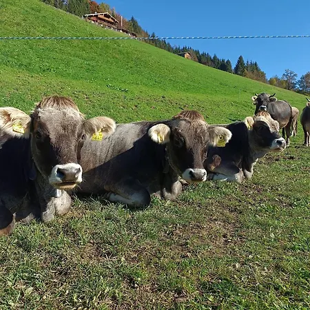 Zaustoi Διαμέρισμα Wildschonau