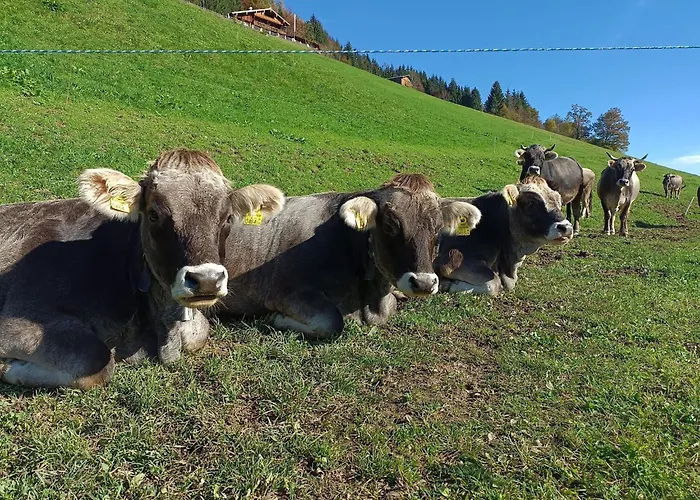 Zaustoi Apartamento Wildschoenau